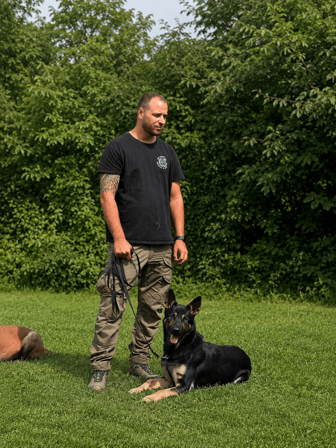 Gianni — Züri K9